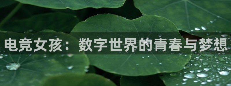 多宝电竞(体育)官方网站