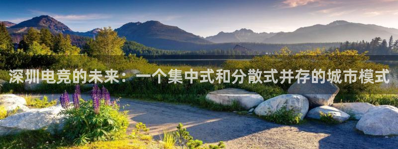 多宝电竞app：深圳电竞的未来：一个集中式和分散式并存的城市模式
