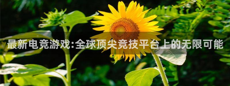 多宝电竞入口