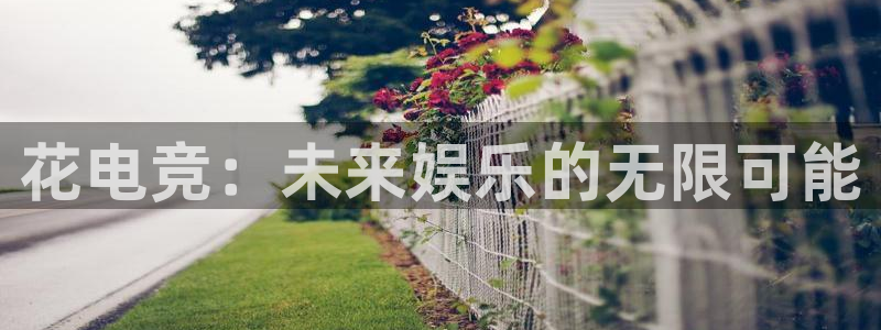 多宝电竞入口：花电竞：未来娱乐的无限可能