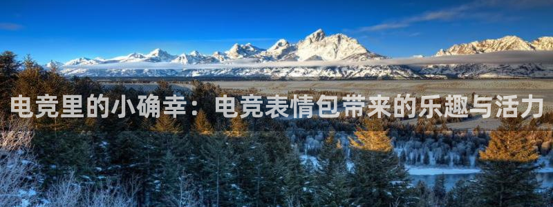 多宝电竞：电竞里的小确幸：电竞表情包带来的乐趣与活力