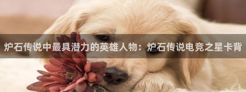 多宝电竞|welcome：炉石传说中最具潜力的英雄人物：炉石传说电竞之星卡背