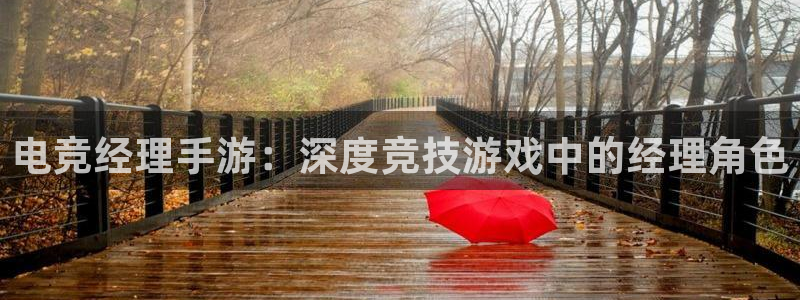 多宝电竞|Home：电竞经理手游：深度竞技游戏中的经理角色