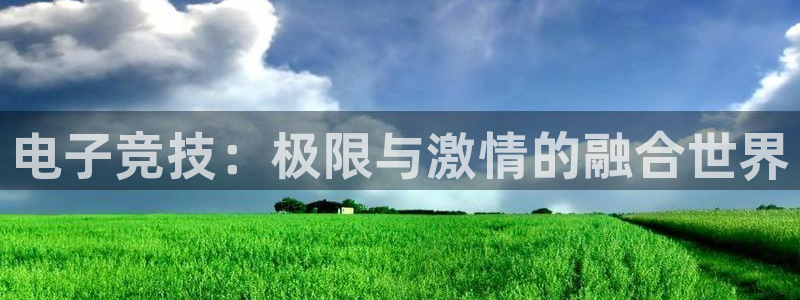 多宝电竞入口