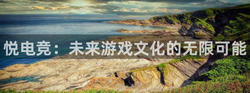 多宝电竞(体育)官方网站：悦电竞：未来游戏文化的无限可能