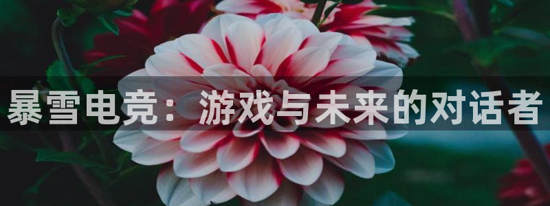多宝电竞|Home：暴雪电竞：游戏与未来的对话者
