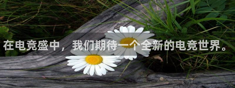 多宝电竞有名嘛：在电竞盛中，我们期待一个全新的电竞世界。