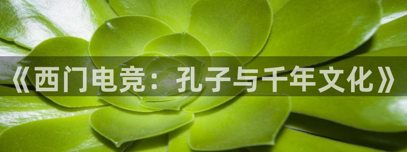 多宝电竞有名嘛：《西门电竞：孔子与千年文化》