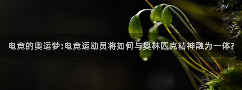 多宝电竞有名嘛：电竞的奥运梦:电竞运动员将如何与奥林匹克精神融为一体?