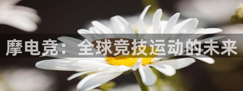 多宝电竞入口：摩电竞：全球竞技运动的未来