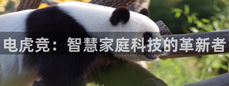 多宝电竞平台：电虎竞：智慧家庭科技的革新者