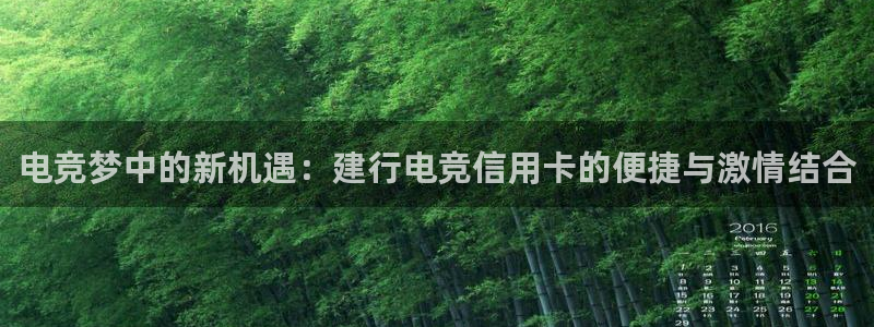 多宝电竞下载：电竞梦中的新机遇：建行电竞信用卡的便捷与激情结合